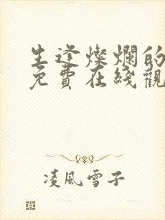 生逢灿烂的日子免费在线观看完整版封面