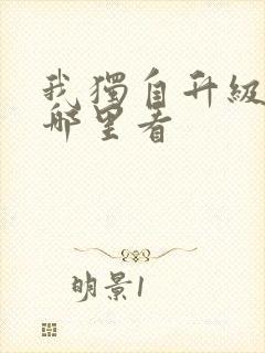 我独自升级动漫哪里看