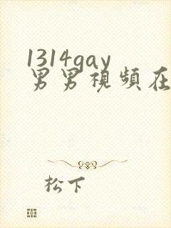 1314gay男男视频在线观看