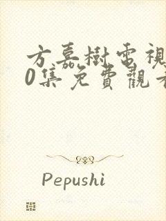 方嘉树电视剧40集免费观看封面