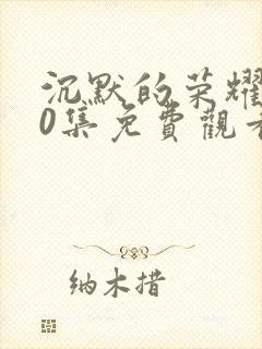 沉默的荣耀第20集免费观看封面