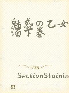 魅惑の乙女と白浊下卷封面