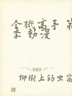 全职高手 第一季 动漫