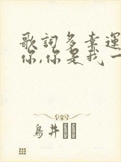 歌词多幸运遇见你,你是我一生的欢喜