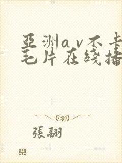 亚洲a v不卡毛片在线播放