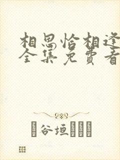 相思恰相逢短剧全集免费看封面