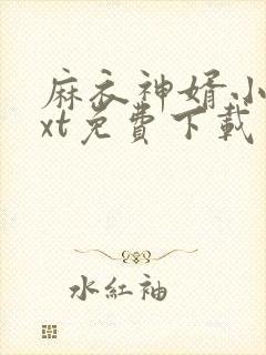 麻衣神婿小说txt免费下载