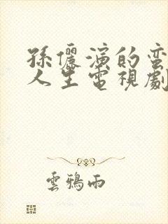 孙俪演的蛮好的人生电视剧免费观看