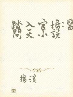 踏入官场:医道问天小说