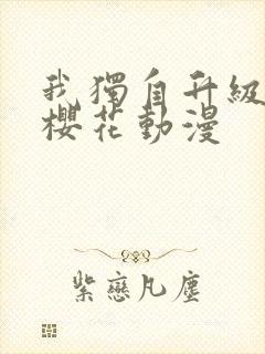 我独自升级动漫樱花动漫