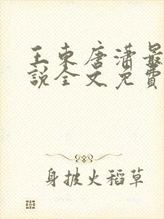 王东唐潇最新小说全文免费阅读第72张