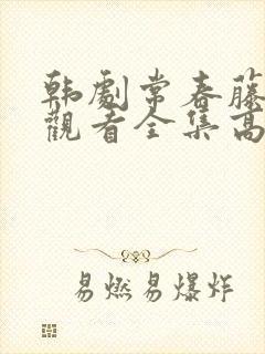 韩剧常春藤免费观看全集高清