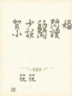 贺少的闪婚暖妻小说阅读