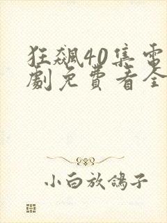 狂飙40集电视剧免费看全集封面