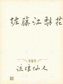 佐藤江梨花封面