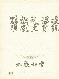 点燃我温暖你电视剧免费观看高清封面