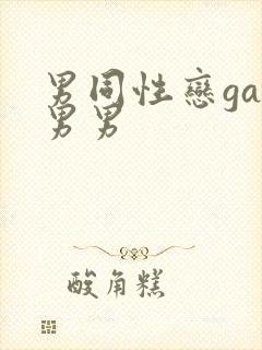 男同性恋gay男男封面