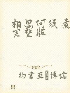 相思何须煮余年完整版封面