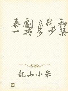 泰剧《我和谁》一共多少集