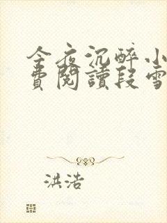 今夜沉醉小说免费阅读段雪娇林杰