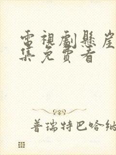 电视剧悬崖40集免费看