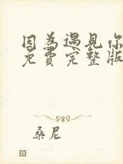 因为遇见你短剧免费完整版封面