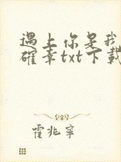 遇上你是我的小确幸txt下载