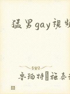 猛男gay视频封面