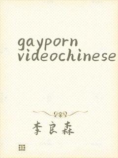 gaypornvideochinese