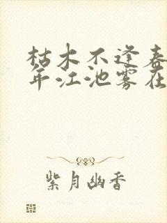 枯木不逢春顾斯年江池雾在线阅读