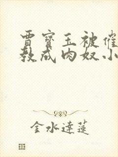 贾宝玉被催眠调教成肉奴小说