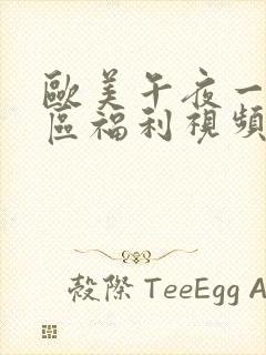 欧美午夜一区二区福利视频