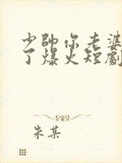 少帅你老婆又跑了爆火短剧封面