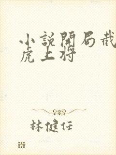 小说开局截胡五虎上将