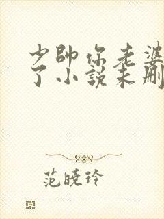 少帅你老婆又跑了小说未删版完整