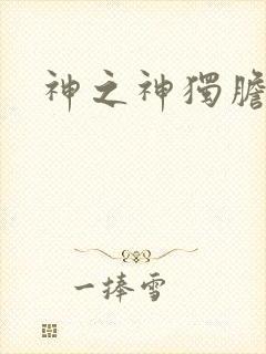 神之神独胆王封面