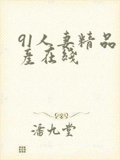 91人妻精品国产在线