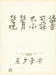 楚楚不可怜by晚月小说番外