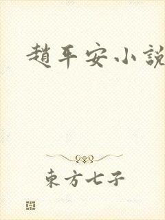 赵平安小说主角