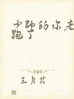 少帅的你老婆又跑了封面