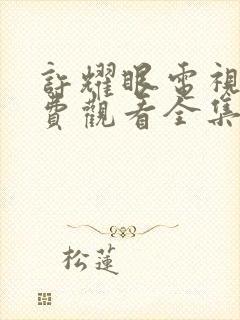 许耀眼电视剧免费观看全集高清下载