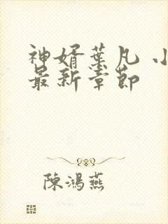 神婿叶凡 小说最新章节