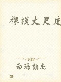 裸模大尺度私拍