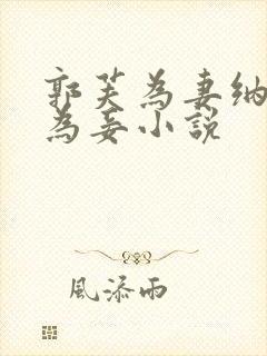 郭芙为妻纳黄蓉为妾小说