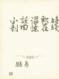 小说温软时光只剩回忆在线阅读