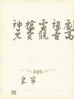 神枪电视剧全集免费观看高清封面