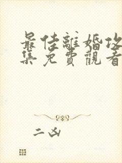 最佳离婚攻略全集免费观看