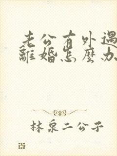 老公有外遇了要离婚怎么办