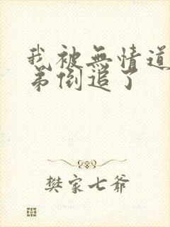 我被无情道小师弟倒追了