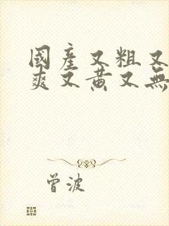 国产又粗又猛又爽又黄又无遮挡